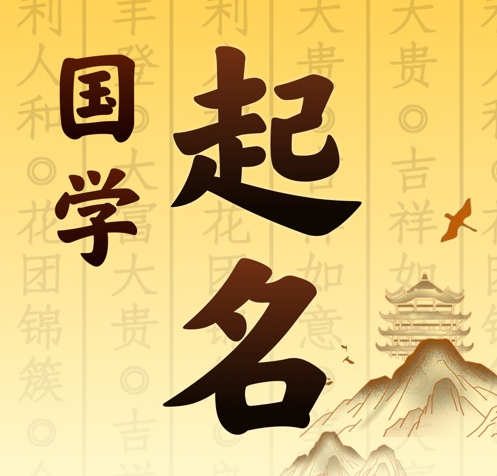 安庆市国学起名 人工起名一对一